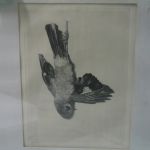 493 6357 ETCHING